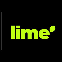 Lime - Marketing e Soluções Integradas logo - Similar company to Wee | Agência Digital
