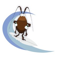 Coolum Pest Control