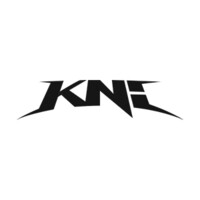 KNI logo - Similar company to Kni Group