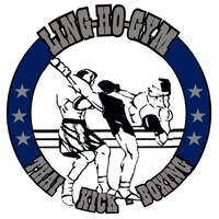 Ling Ho Gym logo - Similar company to Van Der Aa Security Solutions B.V.
