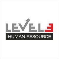 Level 3 Human Resource logo - Similar company to Right Direct Human Resource