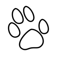 iCat Solutions Ltd logo - Similar company to Nextapps - A Good App Solves The Problem