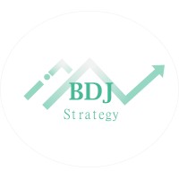 BDJ Strategy logo - Similar company to Suede Studio