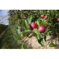 SCA LES TROIS DOMAINES AGEN logo - Similar company to Blondina