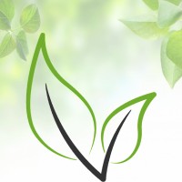 Vitavega logo - Similar company to Sendit Express Limited