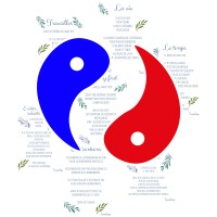 Teva Chan Art Production logo - Similar company to Ginkgo Éditeur
