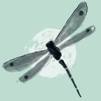 Dragonfly Education Group logo - Similar company to Edune Learning Network