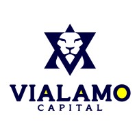 Vialamo Capital logo - Similar company to World Tours