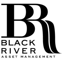 Black River Asset Management AG logo - Similar company to Swiss Digital Development Ag