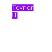 Tevnar It Group Corp. logo - Similar company to Elytian Inc.