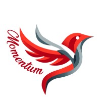 Momentum, LLC logo - Similar company to Laniado Development Fund