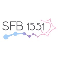 SFB 1551 - Sonderforschungsbereich 1551 logo - Similar company to Lemke Lab