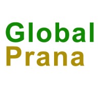 Global Prana - Smart Tech Provider For Smart CCTV , Video Analytics etc. logo - Similar company to Dipsun Technologies Opc Pvt Ltd