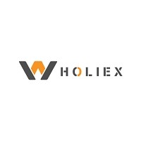 WholiEx logo - Similar company to Insightzz