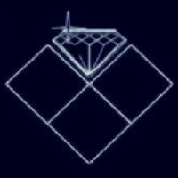 Diamond Networks logo - Similar company to Bell Bird Control