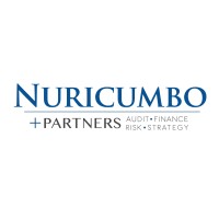 Nuricumbo + Partners logo - Similar company to Anfexi Technologies