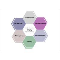 Searchlite Management & Leadership Consulting logo - Similar company to Trainy It Academy