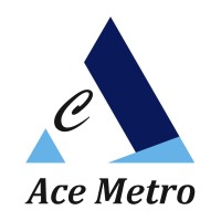 ACE METRO TECH PRIVATE LIMITED logo - Similar company to Vka Powermaster