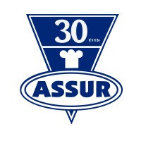 ASSUR Kft. logo - Similar company to Line Group