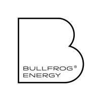Bullfrog Energy® logo - Similar company to Truenode