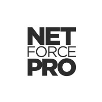 Netforcepro Marketing and Consulting