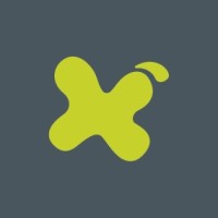 Formula X - B2B Agency logo - Similar company to Solidtime