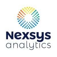 Nexsys Analytics logo - Similar company to Vierroth Gmbh