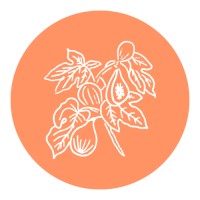 Wild Lulita logo - Similar company to Boostybites