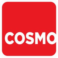 COSMO Granites Pvt Ltd logo - Similar company to Triumph Solutions