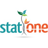 Stat One logo - Similar company to Nanomag, Llc
