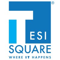 TESISQUARE logo - Similar company to Ors Group