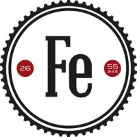 Branding Fe logo - Similar company to Wyntra Pharmaceuticals