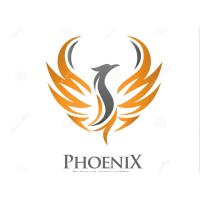 Phoenix for Advanced Solutions logo - Similar company to Phoenix International