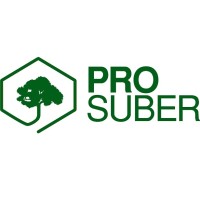 Pro Suber logo - Similar company to Chainable