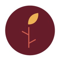Nicoleta Neghina logo - Similar company to Viitorul Meu