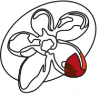 Australian Regenerative Medicine Institute logo - Similar company to Embl Australia