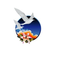 New Image Health Sciences Uganda Ltd logo - Similar company to African Soft Skills Organization ( Asso )