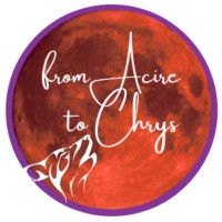 From Acire to Chrys logo - Similar company to J-Intelligence Networks, Inc (Jintel)