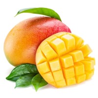 Früchte Mango logo - Similar company to Iberia Export