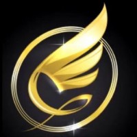 Angel Investors Club logo - Similar company to Digitalmarketerpro™