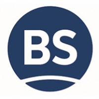 BS Capital Partners logo - Similar company to Nullaexitus