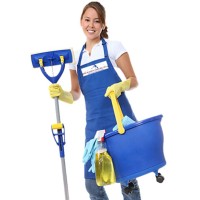 Maid in North Carolina, Inc logo - Similar company to Errands And Helpers