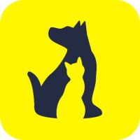 DogCat.app logo - Similar company to Petsurfer
