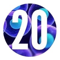 20one Consulting logo - Similar company to Sobirho