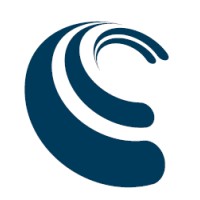 Consist logo - Similar company to Spejlblank