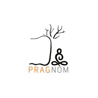 PRAGNOM DESIGNS logo - Similar company to Dgreen Interio