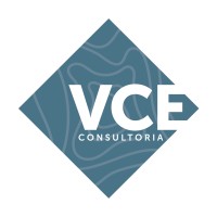 VCE Consultoria logo - Similar company to Daffer Distribuidora