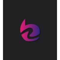 Backzone logo - Similar company to Back.Zone