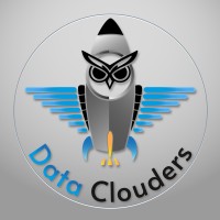 Data Clouders logo - Similar company to Integral Ai