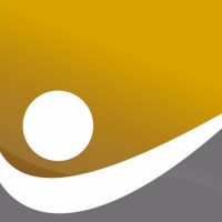 Billionaire Coach logo - Similar company to Code.Id Australia